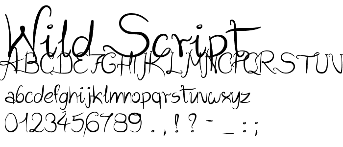 Wild Script font